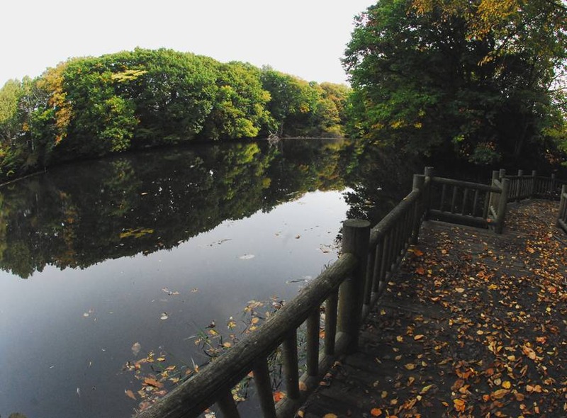image002