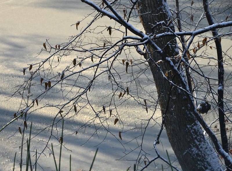 image002