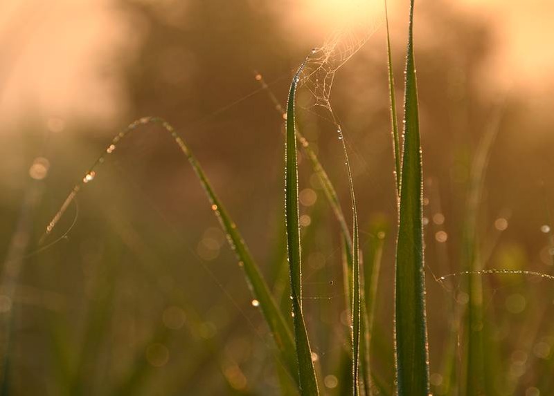 image002