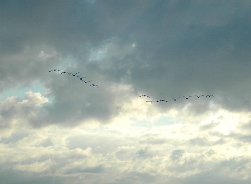image002