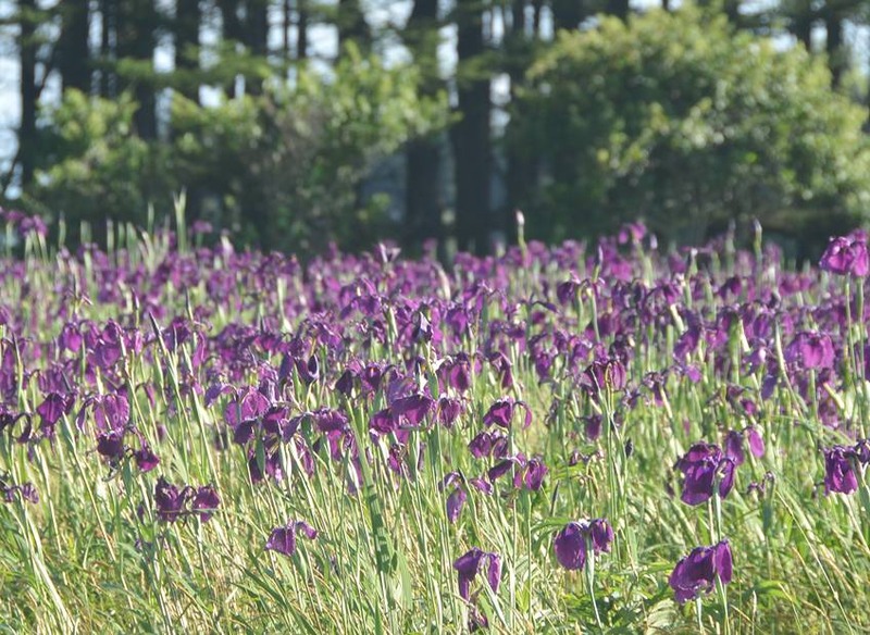 image002
