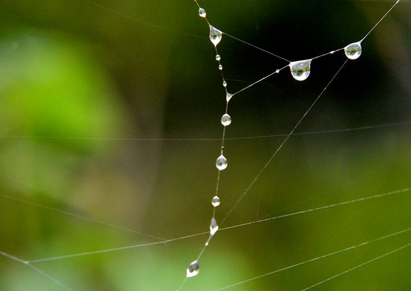 image002