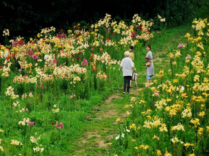 image002