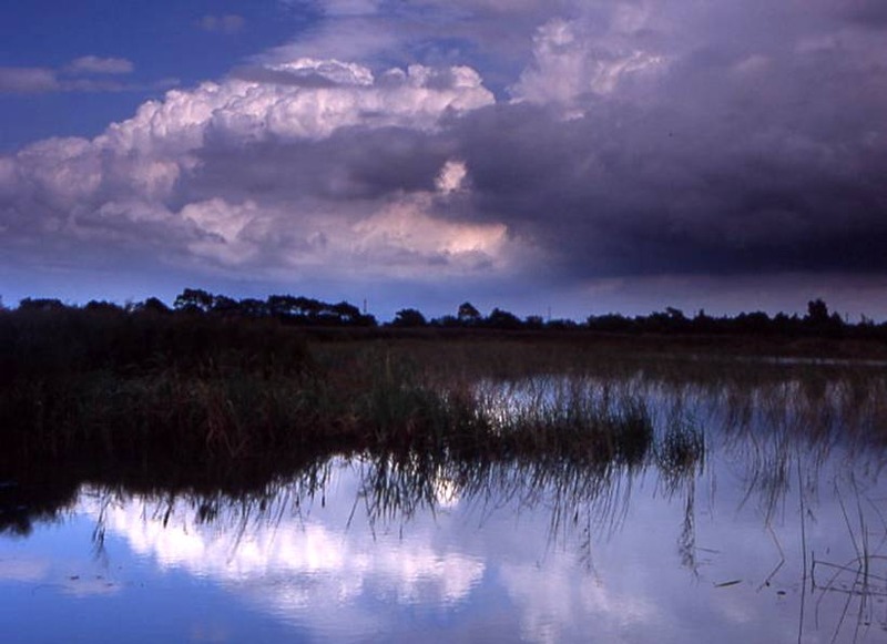 image002