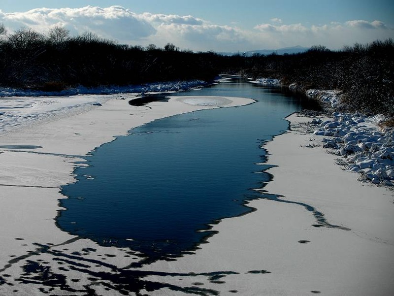 image002