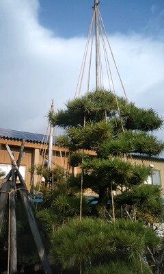 かこ3