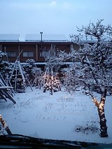 869c8e0a.jpg
