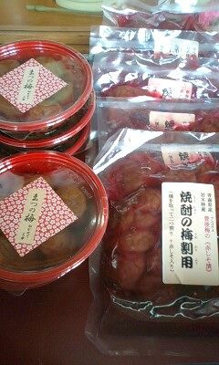 食欲