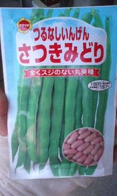 たね2