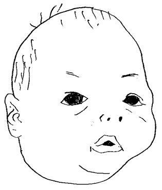 img233