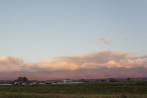 DSC05822