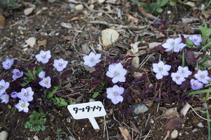 DSC03575