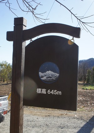 DSC03097