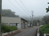 霧