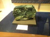 tentai_08