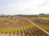 gw03