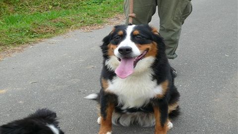 201106081903056f2_R.jpg