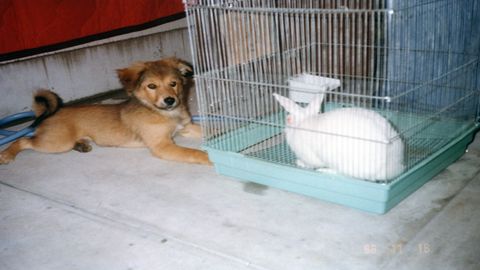 img104_R.jpg