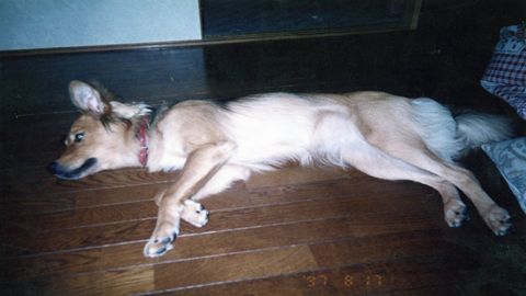 img116_R.jpg
