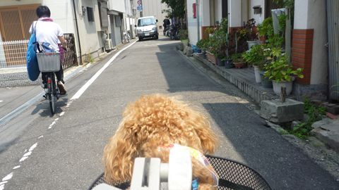 P1020861_R.jpg
