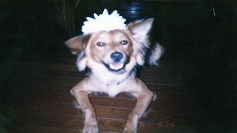 img114_R.jpg