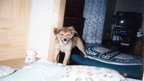 img105_R.jpg