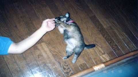 img098_R.jpg