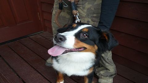 201106081901441e9_R.jpg