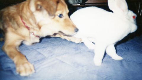 img112_R.jpg