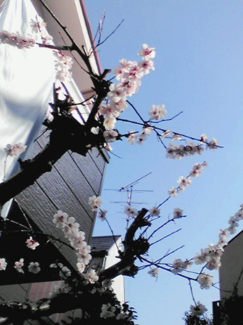 20110316084222
