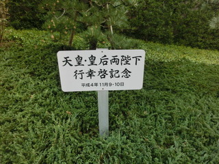 CIMG8767