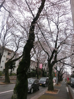 CIMG8544