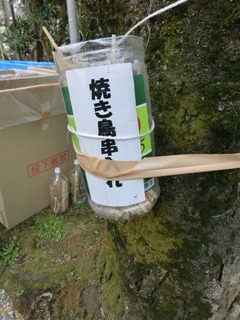CIMG8954