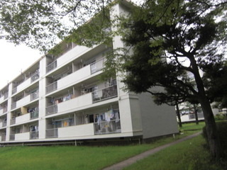 CIMG3771