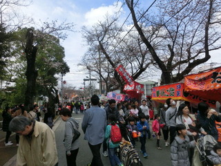 CIMG8941
