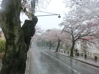 CIMG0493