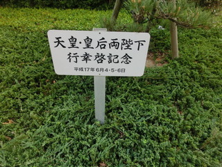 CIMG8768