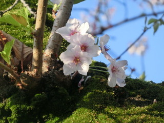 CIMG0545