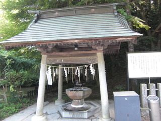CIMG3922
