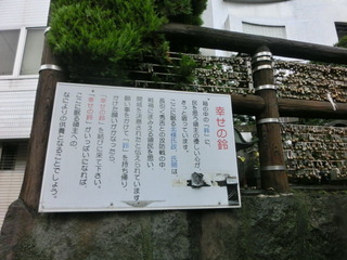 CIMG7206