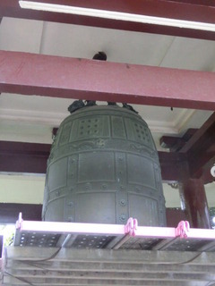 CIMG9548