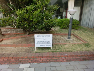 CIMG8742