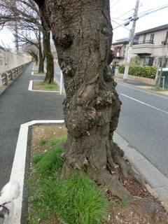 CIMG8858