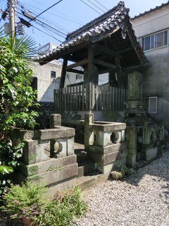 CIMG3550