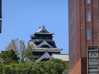 CIMG3511