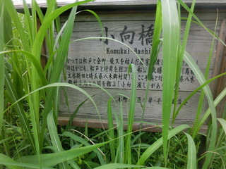 CIMG9018