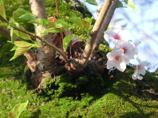 CIMG0544
