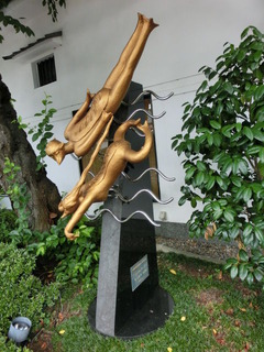CIMG2857