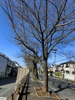CIMG8844