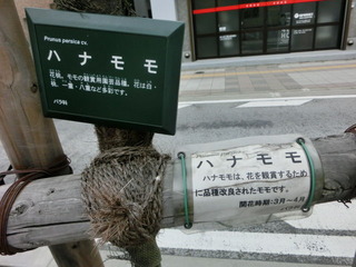 CIMG9380